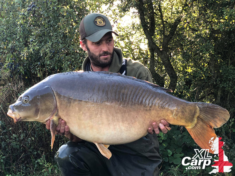 Xl carp Clearance