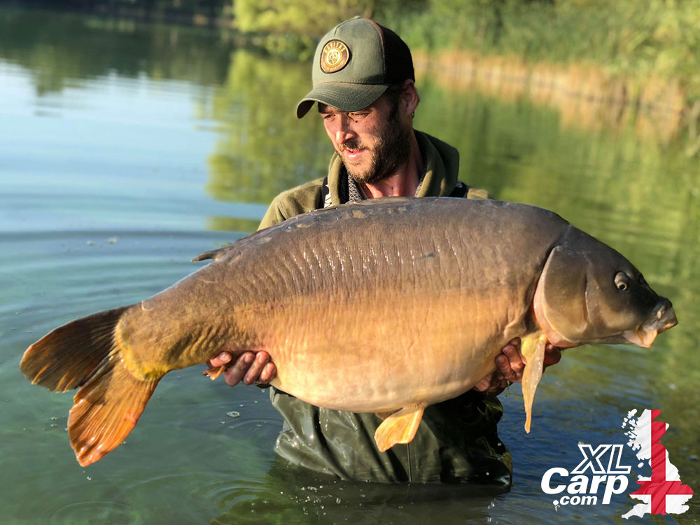 Xl carp Clearance