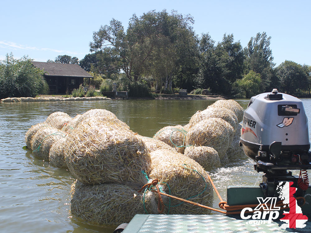 Barley straw Fryerning Fisheries Main Lake XL Carp