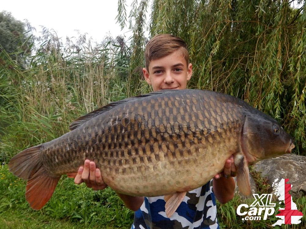 Xl carp Clearance