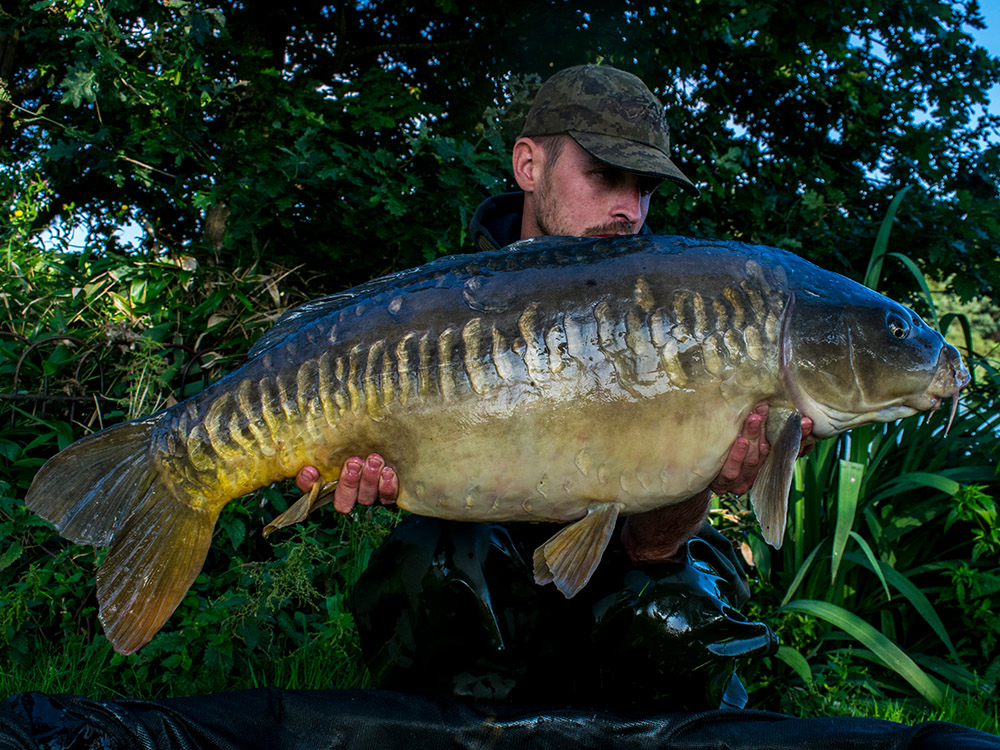 blog 8 carp syndicate essex brentwood fryerning