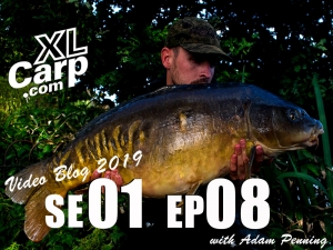 blog 8 carp syndicate essex brentwood fryerning